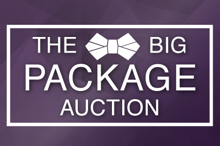 Big Package Auction 2017