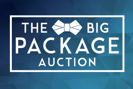 Big Package Auction 2016